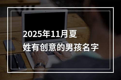 2025年11月夏姓有创意的男孩名字