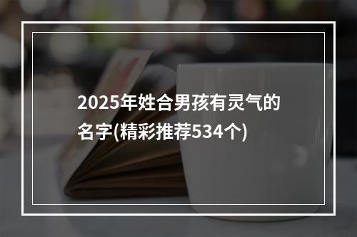 2025年姓合男孩有灵气的名字(精彩推荐534个)
