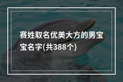 赛姓取名优美大方的男宝宝名字(共388个)