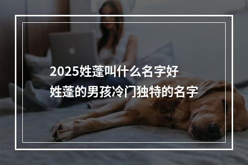 2025姓蓬叫什么名字好 姓蓬的男孩冷门独特的名字