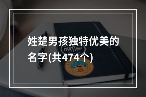 姓楚男孩独特优美的名字(共474个)