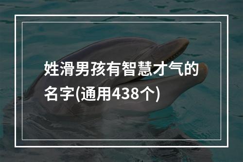 姓滑男孩有智慧才气的名字(通用438个)