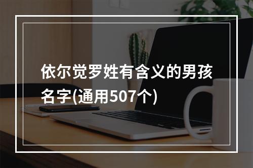 依尔觉罗姓有含义的男孩名字(通用507个)