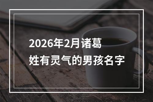 2026年2月诸葛姓有灵气的男孩名字