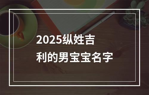 2025纵姓吉利的男宝宝名字
