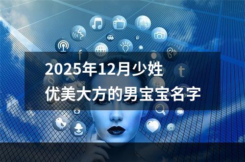 2025年12月少姓优美大方的男宝宝名字