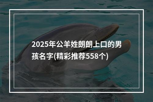 2025年公羊姓朗朗上口的男孩名字(精彩推荐558个)