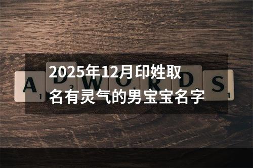 2025年12月印姓取名有灵气的男宝宝名字