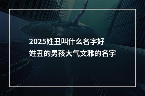 2025姓丑叫什么名字好 姓丑的男孩大气文雅的名字