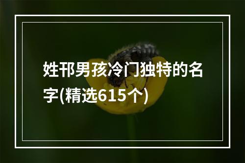 姓邗男孩冷门独特的名字(精选615个)