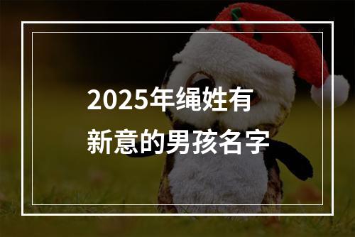 2025年绳姓有新意的男孩名字