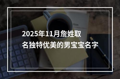 2025年11月詹姓取名独特优美的男宝宝名字