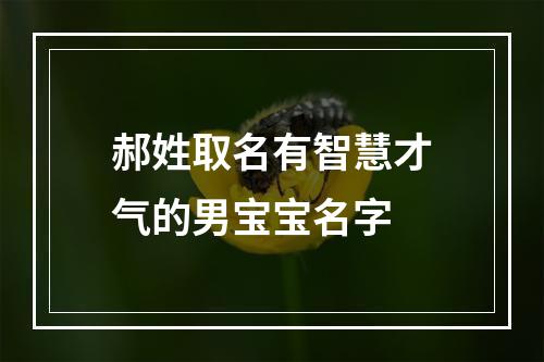 郝姓取名有智慧才气的男宝宝名字