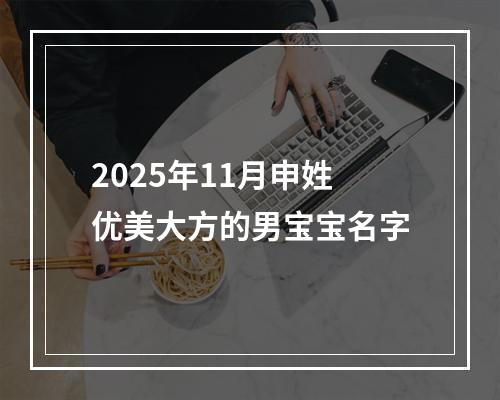 2025年11月申姓优美大方的男宝宝名字