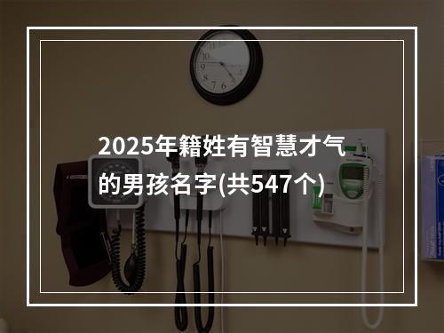 2025年籍姓有智慧才气的男孩名字(共547个)