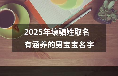 2025年壤驷姓取名有涵养的男宝宝名字