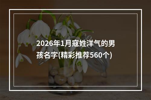 2026年1月寇姓洋气的男孩名字(精彩推荐560个)