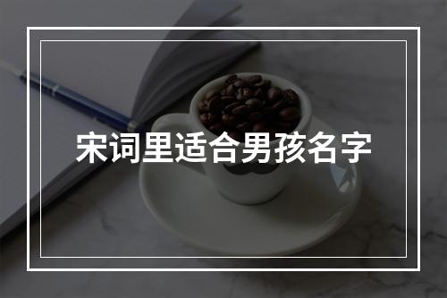 宋词里适合男孩名字