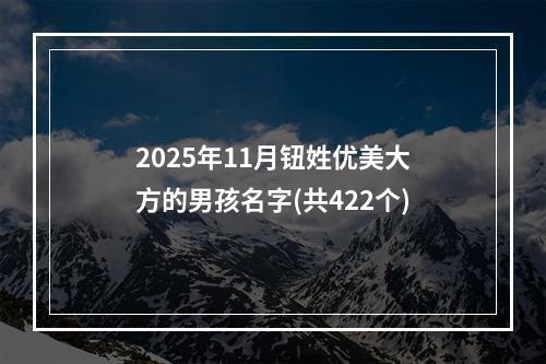 2025年11月钮姓优美大方的男孩名字(共422个)