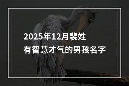2025年12月裴姓有智慧才气的男孩名字