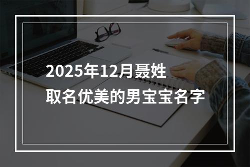 2025年12月聂姓取名优美的男宝宝名字