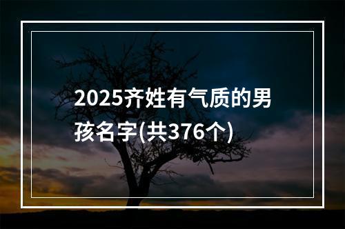 2025齐姓有气质的男孩名字(共376个)