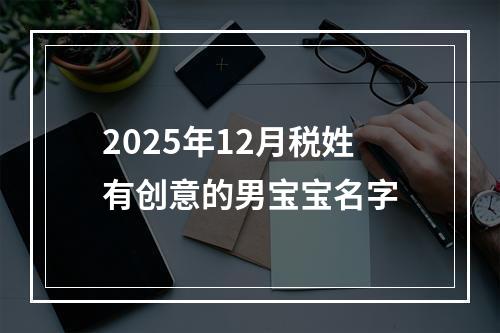 2025年12月税姓有创意的男宝宝名字
