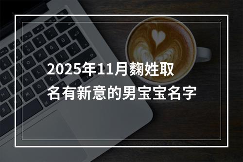 2025年11月麴姓取名有新意的男宝宝名字