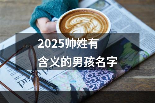 2025帅姓有含义的男孩名字
