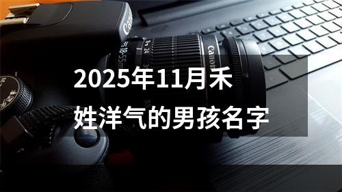2025年11月禾姓洋气的男孩名字