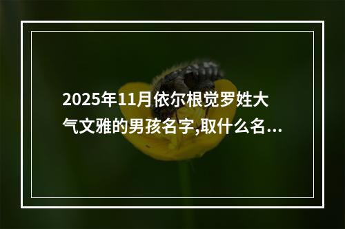 2025年11月依尔根觉罗姓大气文雅的男孩名字,取什么名字好