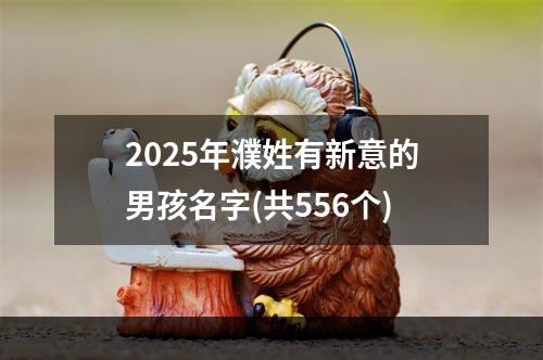 2025年濮姓有新意的男孩名字(共556个)