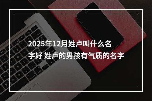 2025年12月姓卢叫什么名字好 姓卢的男孩有气质的名字