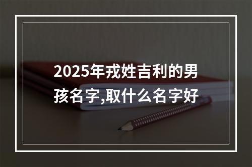 2025年戎姓吉利的男孩名字,取什么名字好