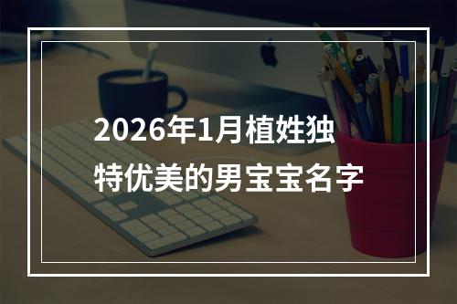 2026年1月植姓独特优美的男宝宝名字