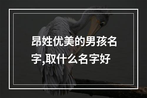 昂姓优美的男孩名字,取什么名字好