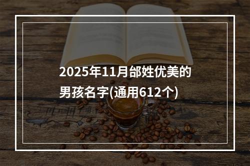2025年11月邰姓优美的男孩名字(通用612个)