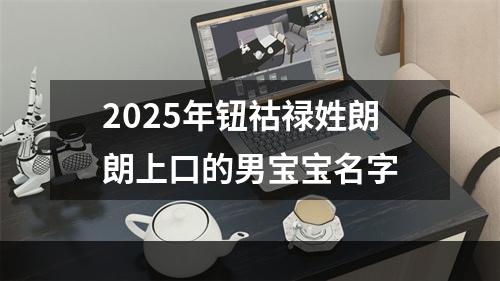 2025年钮祜禄姓朗朗上口的男宝宝名字