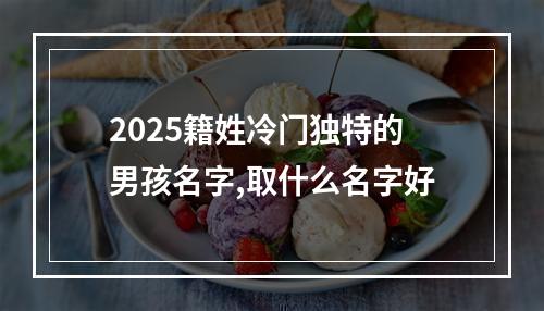2025籍姓冷门独特的男孩名字,取什么名字好