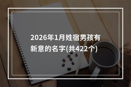 2026年1月姓宿男孩有新意的名字(共422个)