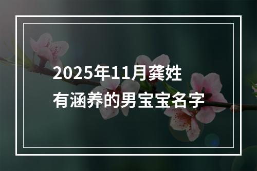 2025年11月龚姓有涵养的男宝宝名字