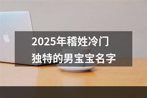 2025年稽姓冷门独特的男宝宝名字