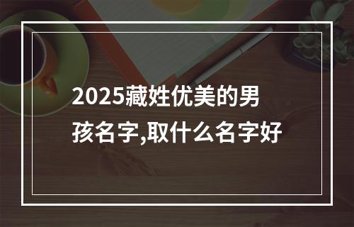 2025藏姓优美的男孩名字,取什么名字好