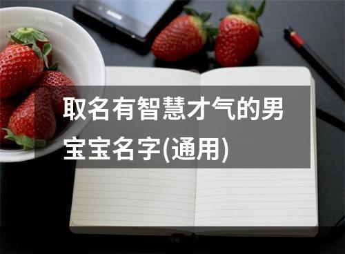 取名有智慧才气的男宝宝名字(通用)