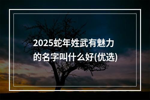 2025蛇年姓武有魅力的名字叫什么好(优选)