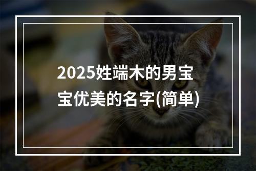 2025姓端木的男宝宝优美的名字(简单)