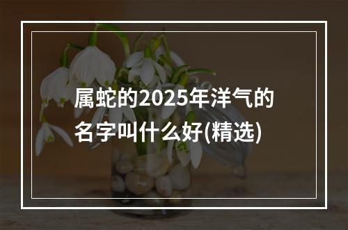 属蛇的2025年洋气的名字叫什么好(精选)