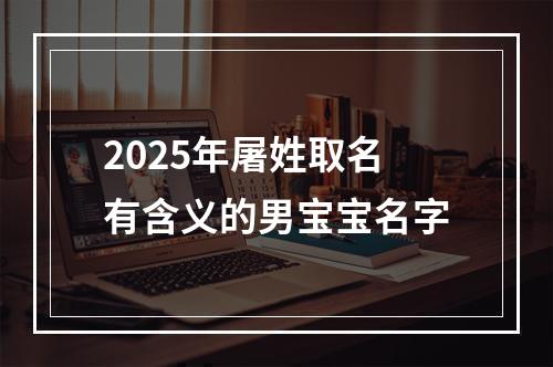 2025年屠姓取名有含义的男宝宝名字