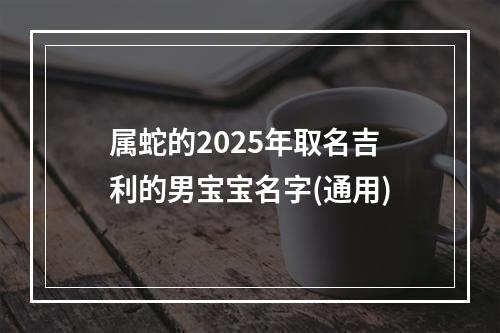 属蛇的2025年取名吉利的男宝宝名字(通用)