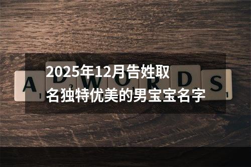 2025年12月告姓取名独特优美的男宝宝名字